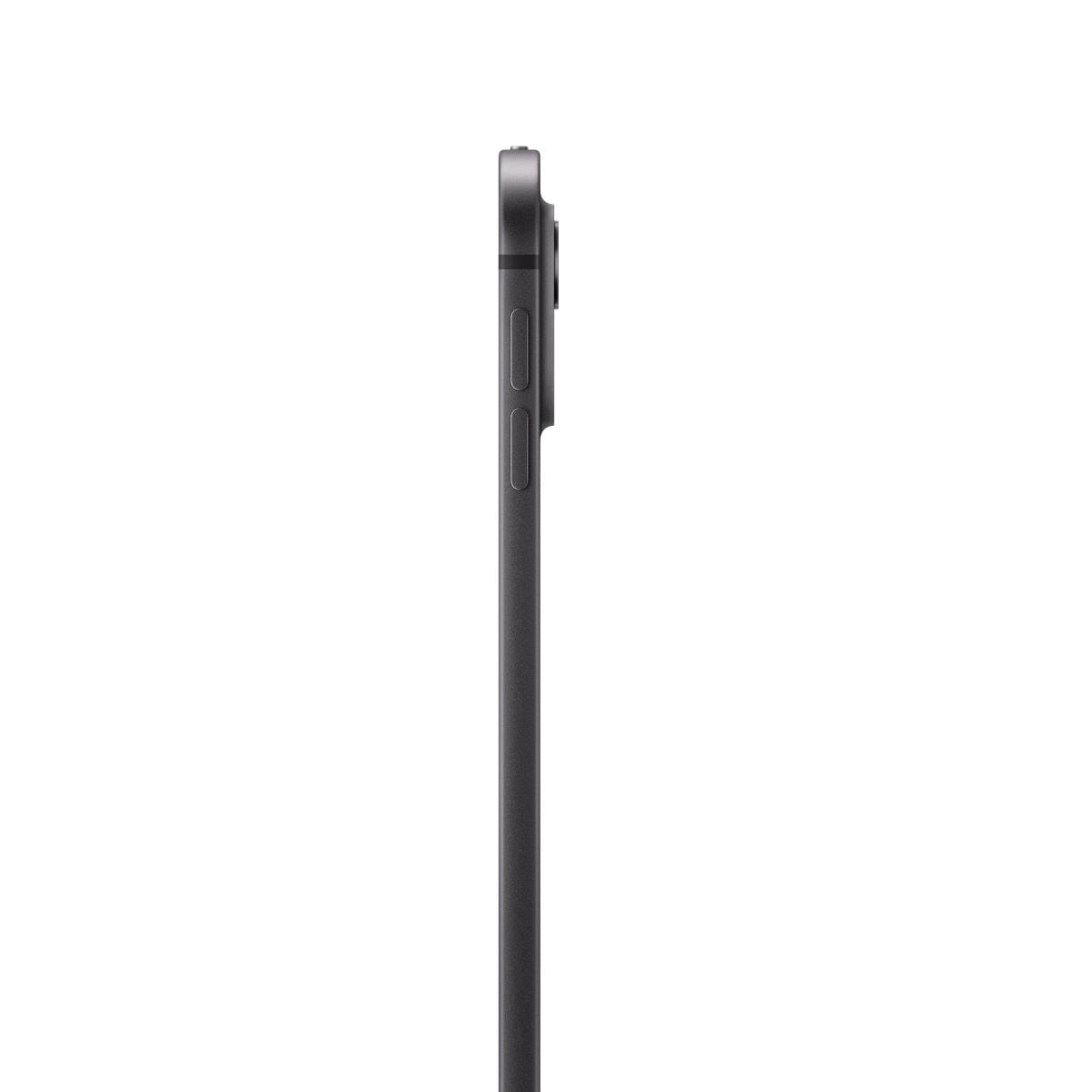APPLE iPad Pro - M4 - 13in - Wi-Fi - 256GB - Space Black - Standard Glass