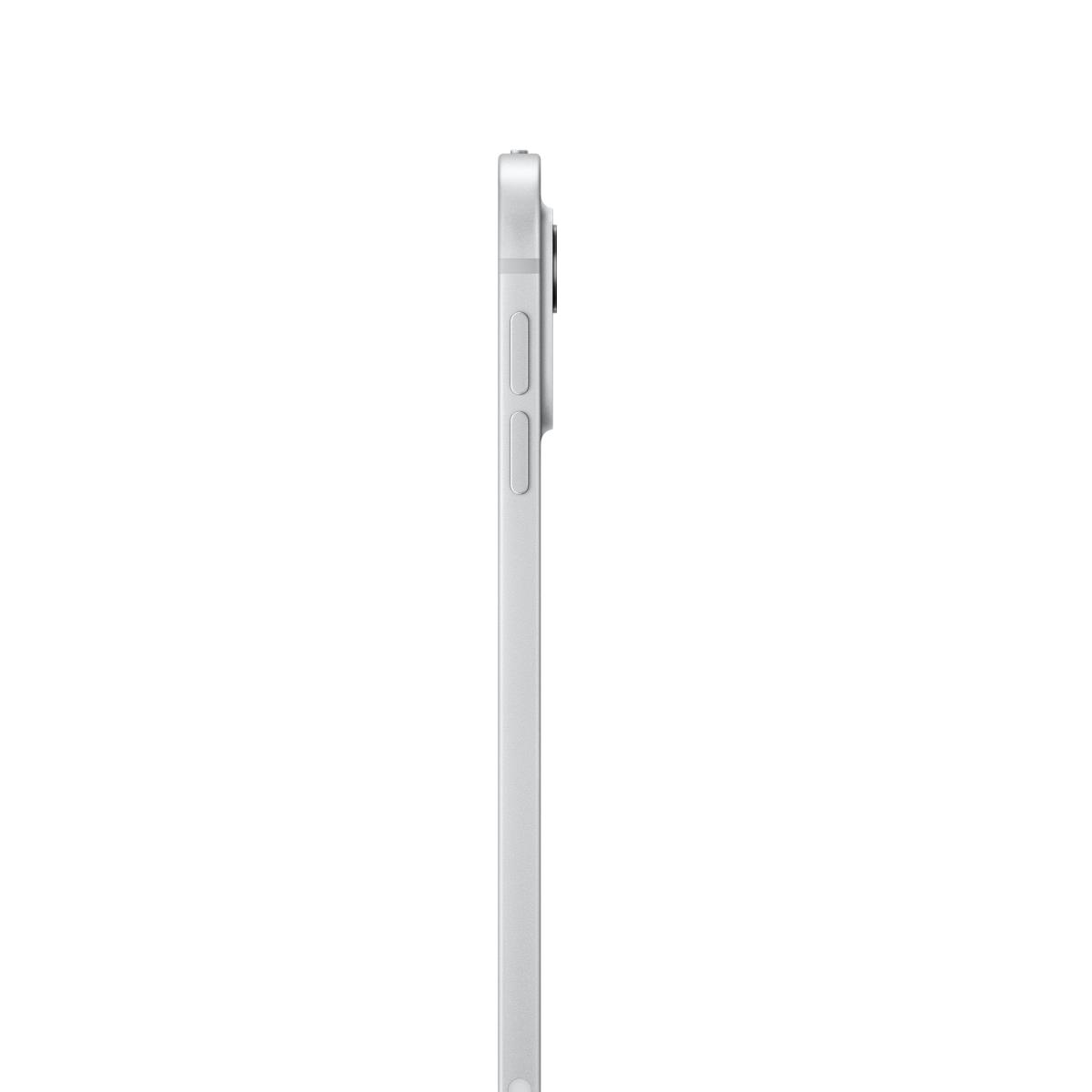 APPLE iPad Pro - M4 - 11in - Wi-Fi - 1TB - Silver - Nano-texture Glass