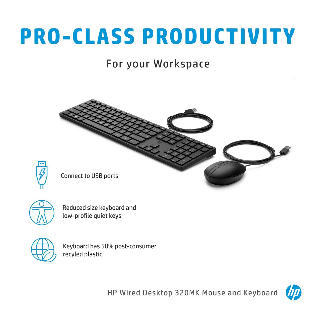 HP Wired Desktop 320MK Keyboard and Mouse - Qwerty Int'l