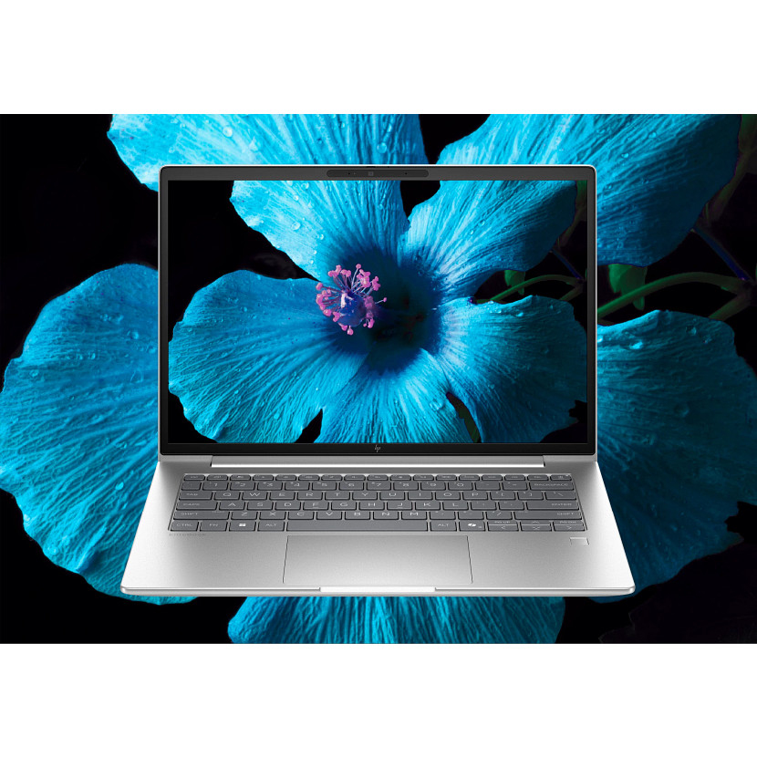 HP EliteBook 6 G1ah - 14in - R5 220 - 16GB RAM - 512GB SSD - Win11 Pro - Qwerty UK