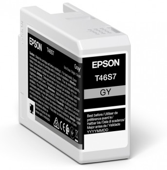 EPSON Ink Cartridge - Ultrachrome Pro 10 - 25ml - Grey