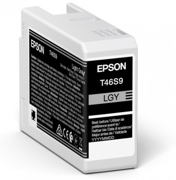 EPSON Ink Cartridge - Ultrachrome Pro 10 - 25ml - Light Gray