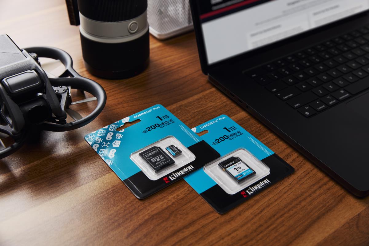 KINGSTON Sdxc Card - Canvas Go Plus  - 1TB - Cl10 - Uhs-l U3 V30