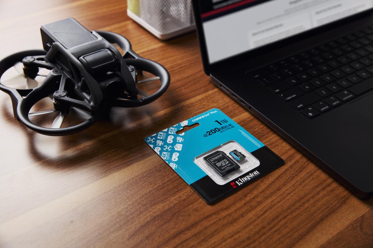 KINGSTON Sdxc Card - Canvas Go Plus  - 1TB - Cl10 - Uhs-l U3 V30