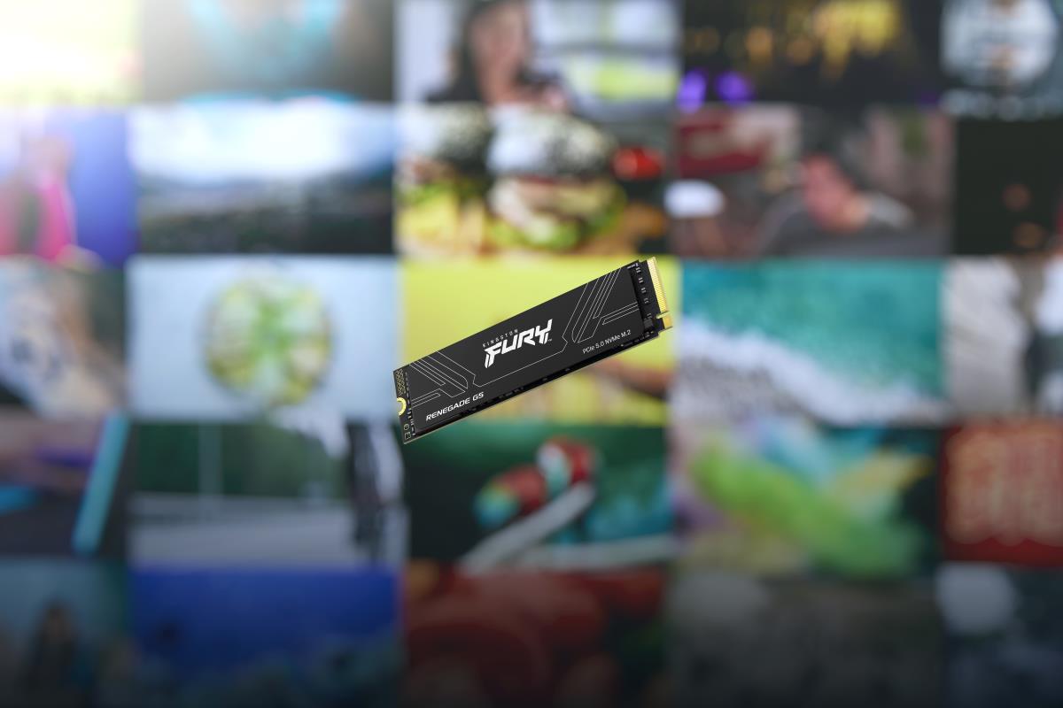 KINGSTON SSD - Fury Renegade - 1TB - Pci-e 5.0 Nvme M.2 2280