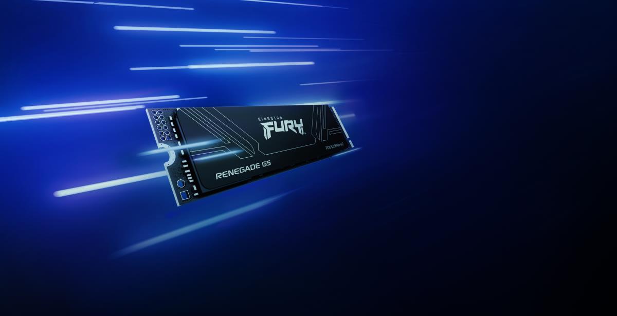 KINGSTON SSD - Fury Renegade - 1TB - Pci-e 5.0 Nvme M.2 2280