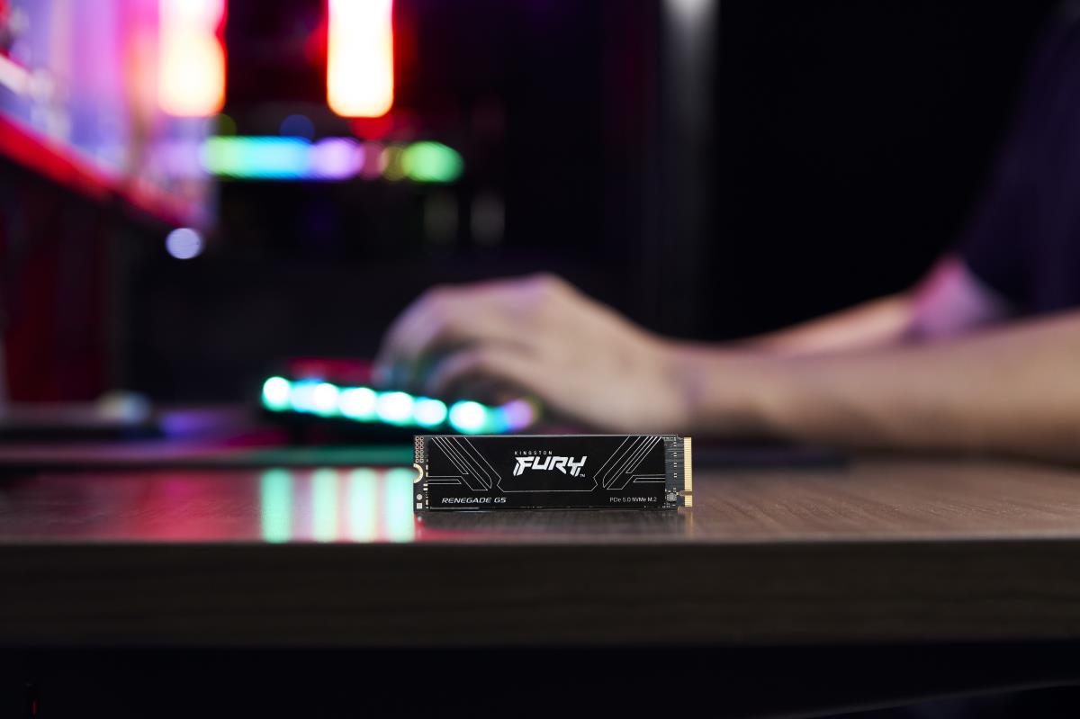 KINGSTON SSD - Fury Renegade - 1TB - Pci-e 5.0 Nvme M.2 2280