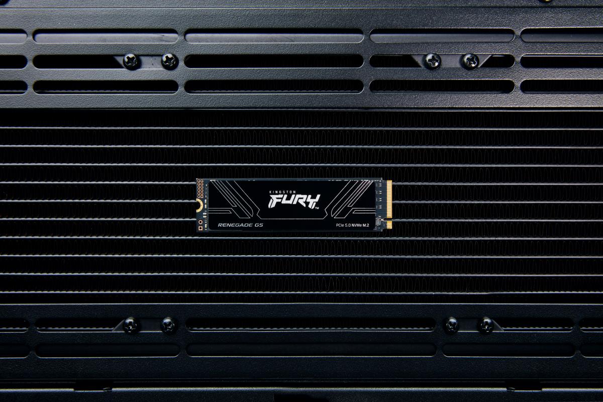 KINGSTON SSD - Fury Renegade - 1TB - Pci-e 5.0 Nvme M.2 2280