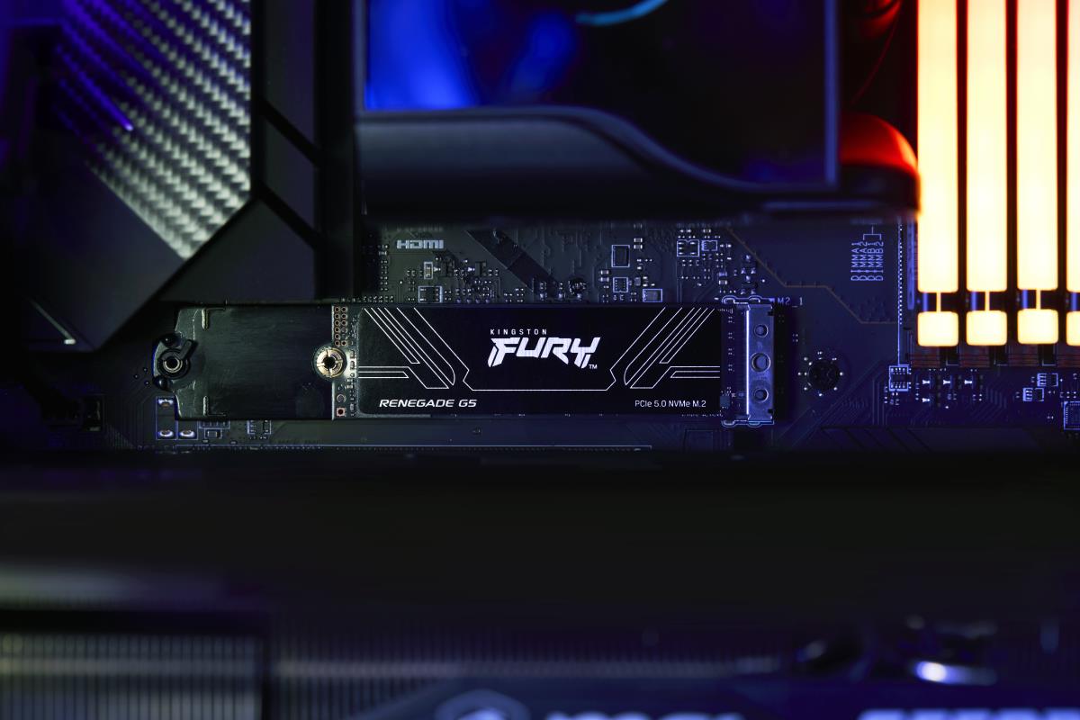 KINGSTON SSD - Fury Renegade - 1TB - Pci-e 5.0 Nvme M.2 2280