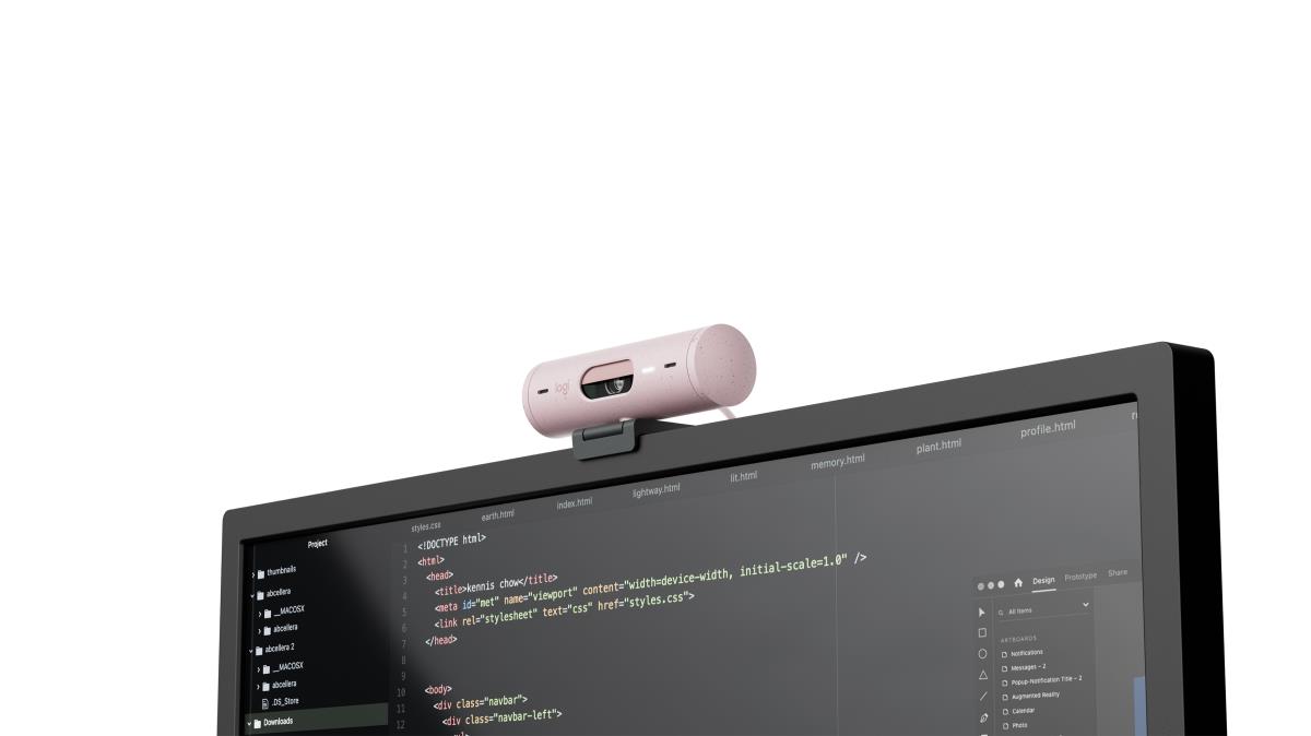 LOGITECH Brio 500 Full Hd Webcam Rose