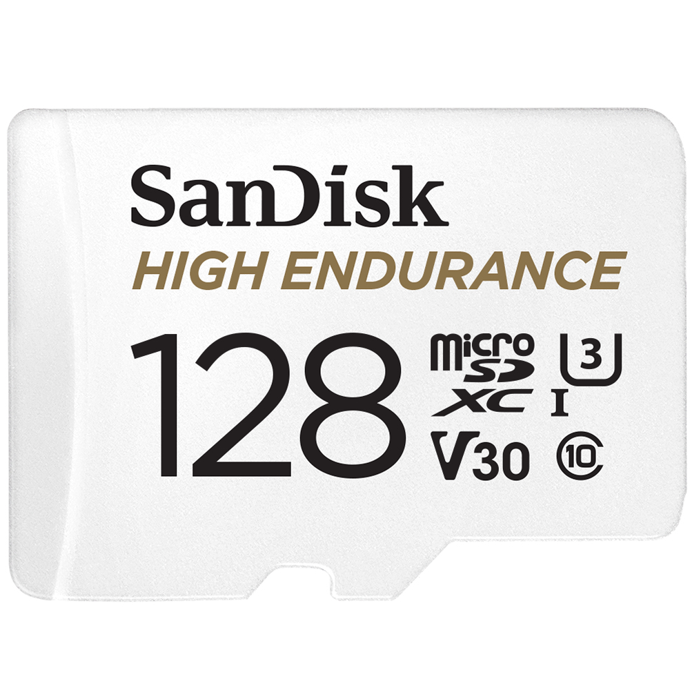 WESTERN DIGITAL SanDisk Micro Sdxc High Endurance 128GB