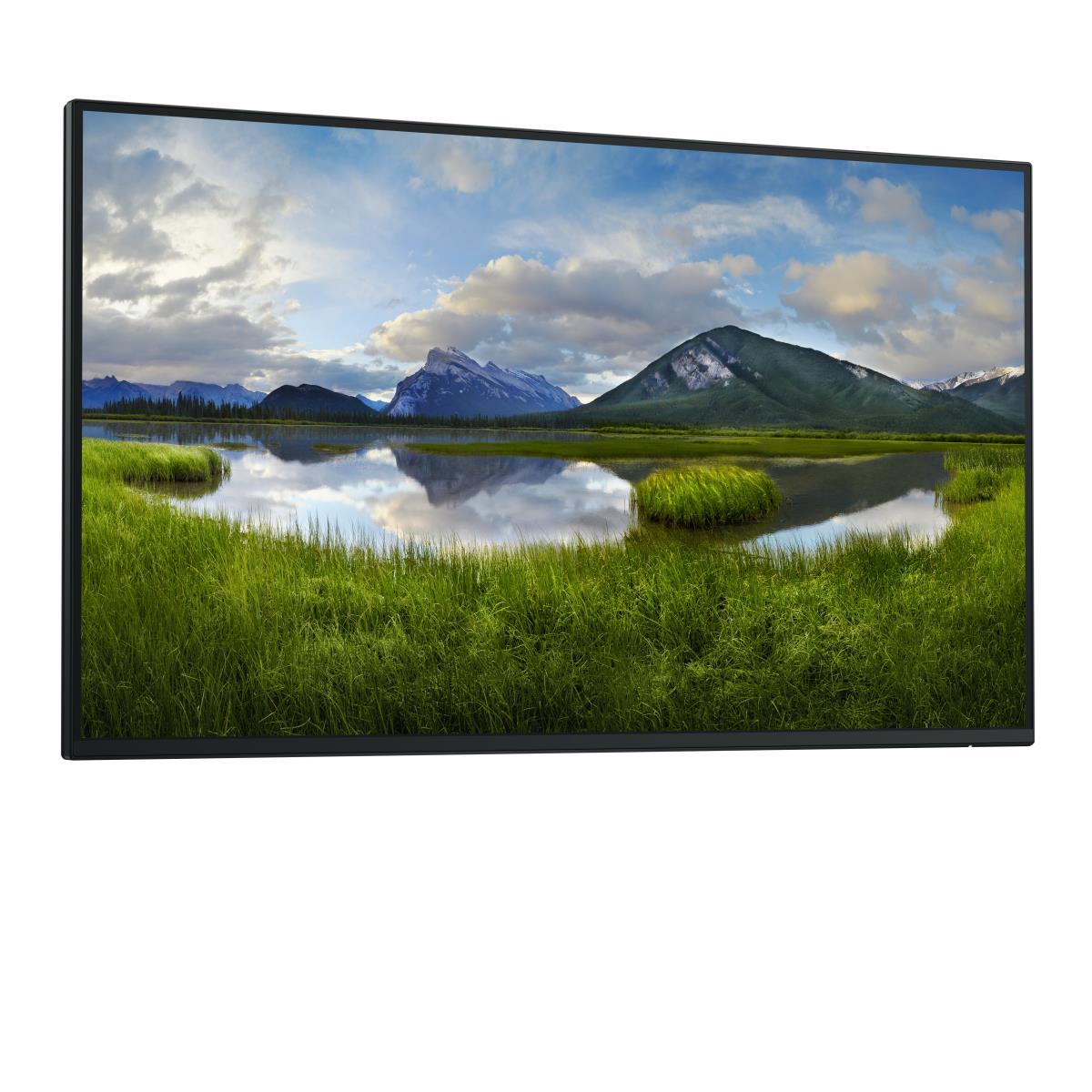 DELL Desktop Monitor - P2725h - 27in - 1920x1080 - No Stand