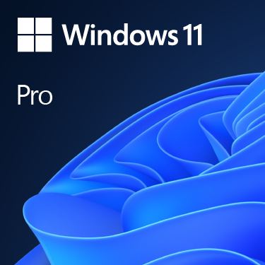 MICROSOFT Windows 11 Pro 64bit Oem - 1 Users - Win - English