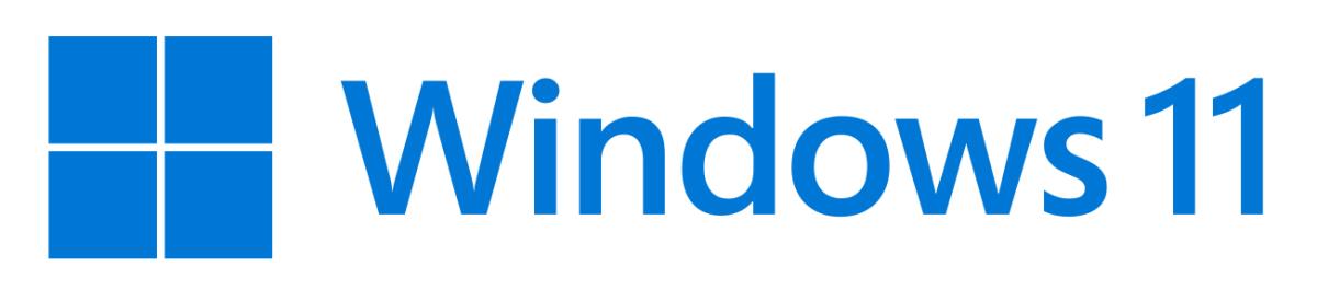MICROSOFT Windows 11 Pro 64bit - 1 Lic - Win - English Intl - USB Stick