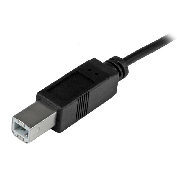 STARTECH.COM USB Typec To USB Typeb Cable M/m USB 2.0 2m