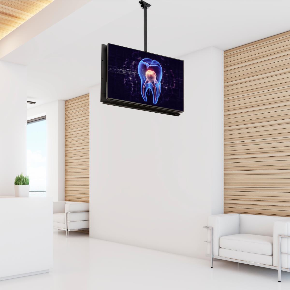 STARTECH.COM Ceiling Tv Mount Back-to-back For 32in To 75in Displays/steel