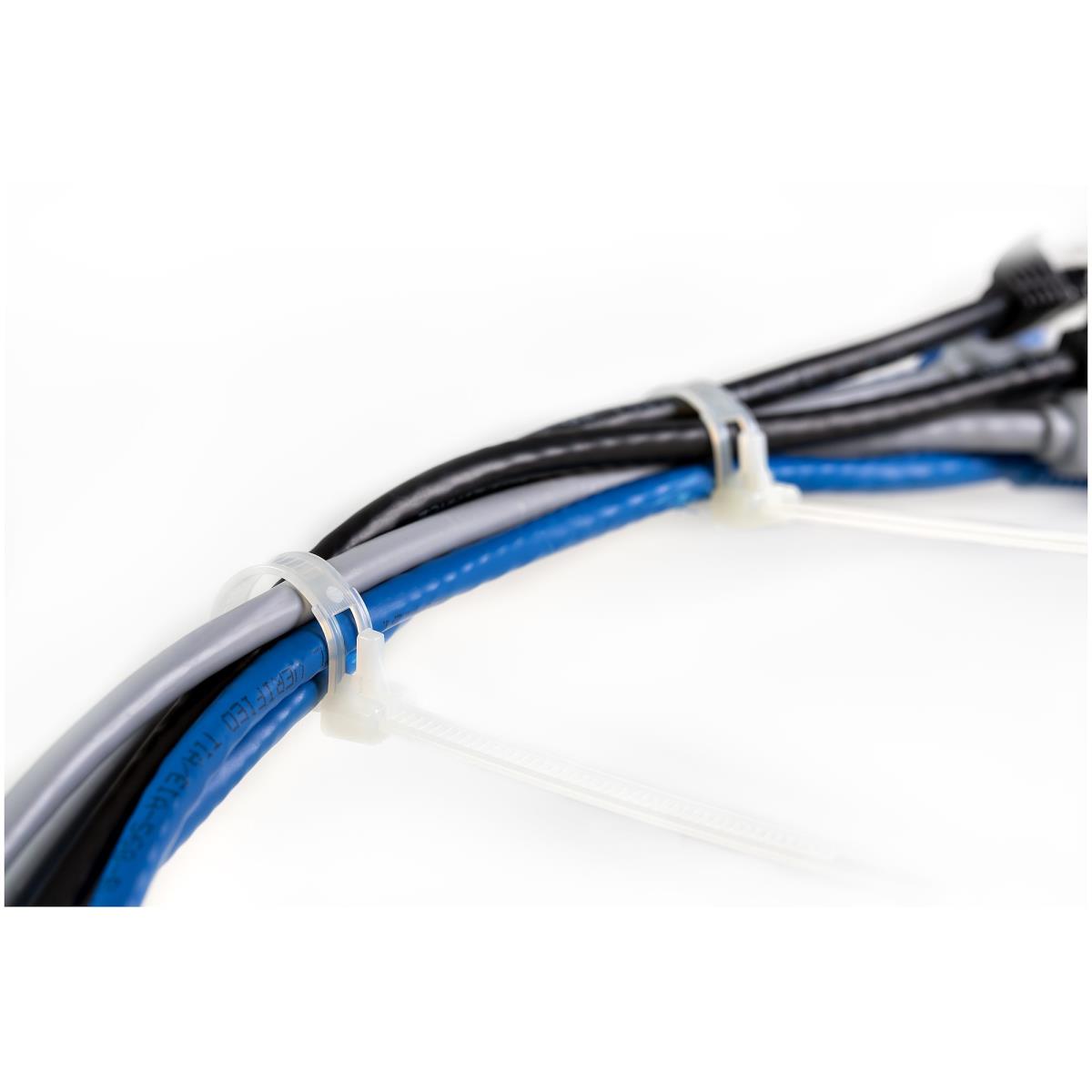 STARTECH.COM Resealable Zip Ties 10in 100 Pack