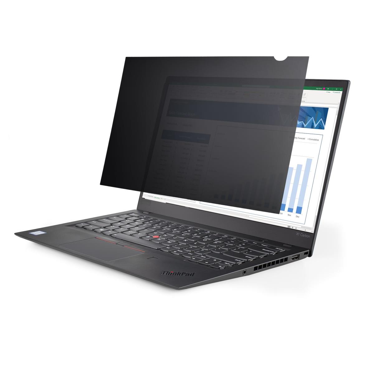 STARTECH.COM Laptop Privacy Filter 17.3 - Computer Privacy Screen/protecto