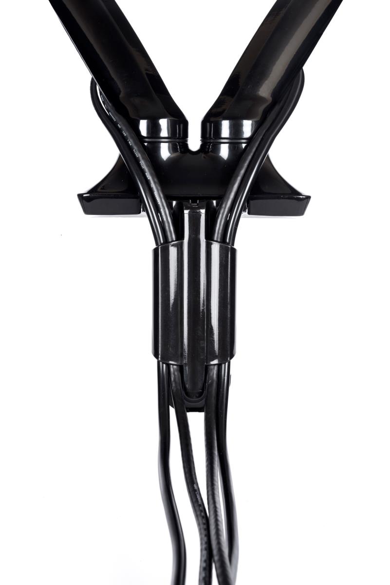 IiYAMA Dual Gas Spring Desk Mounting Arm DS3002C-B1/ Black