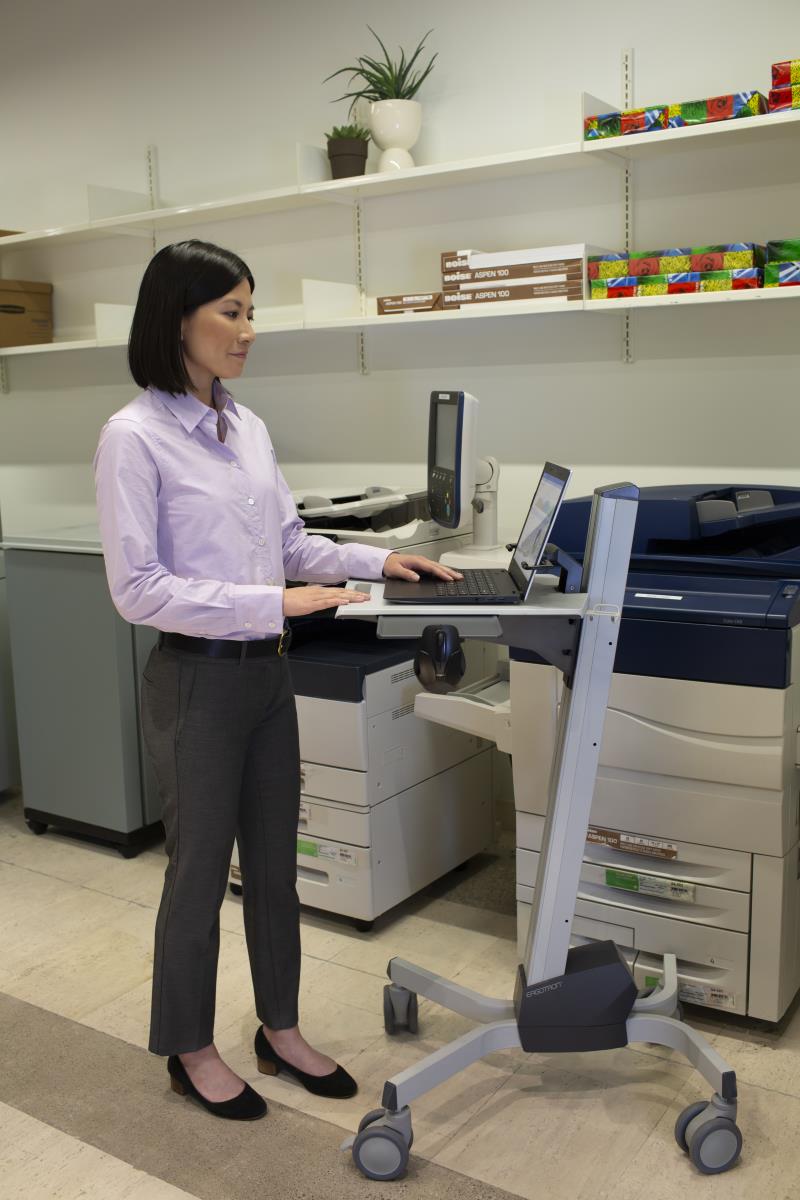 ERGOTRON Neo-flex Laptop Cart