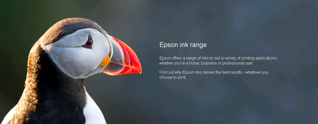 EPSON Ink Cartridge - Wf-8xxx Series - Yellow