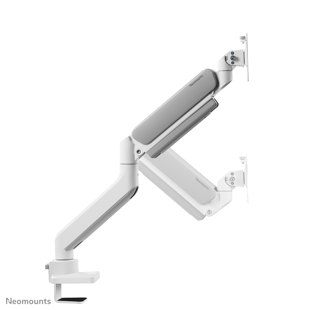 NEOMOUNTS Monitor Mount - Desk - 1 Monitor - Full Motion - 17 To 42in - Wnite