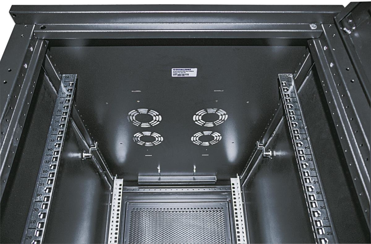 INTELLINET/MANHATTAN Server Cabinet - 19in - 42U - Ip20-rated Housing - Assembled - Black (713283)