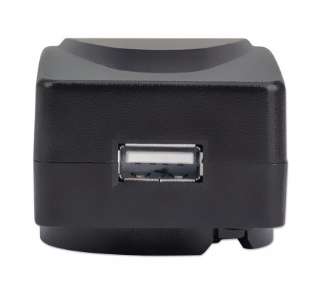 INTELLINET/MANHATTAN Wall Charger and Travel Adapter - USB