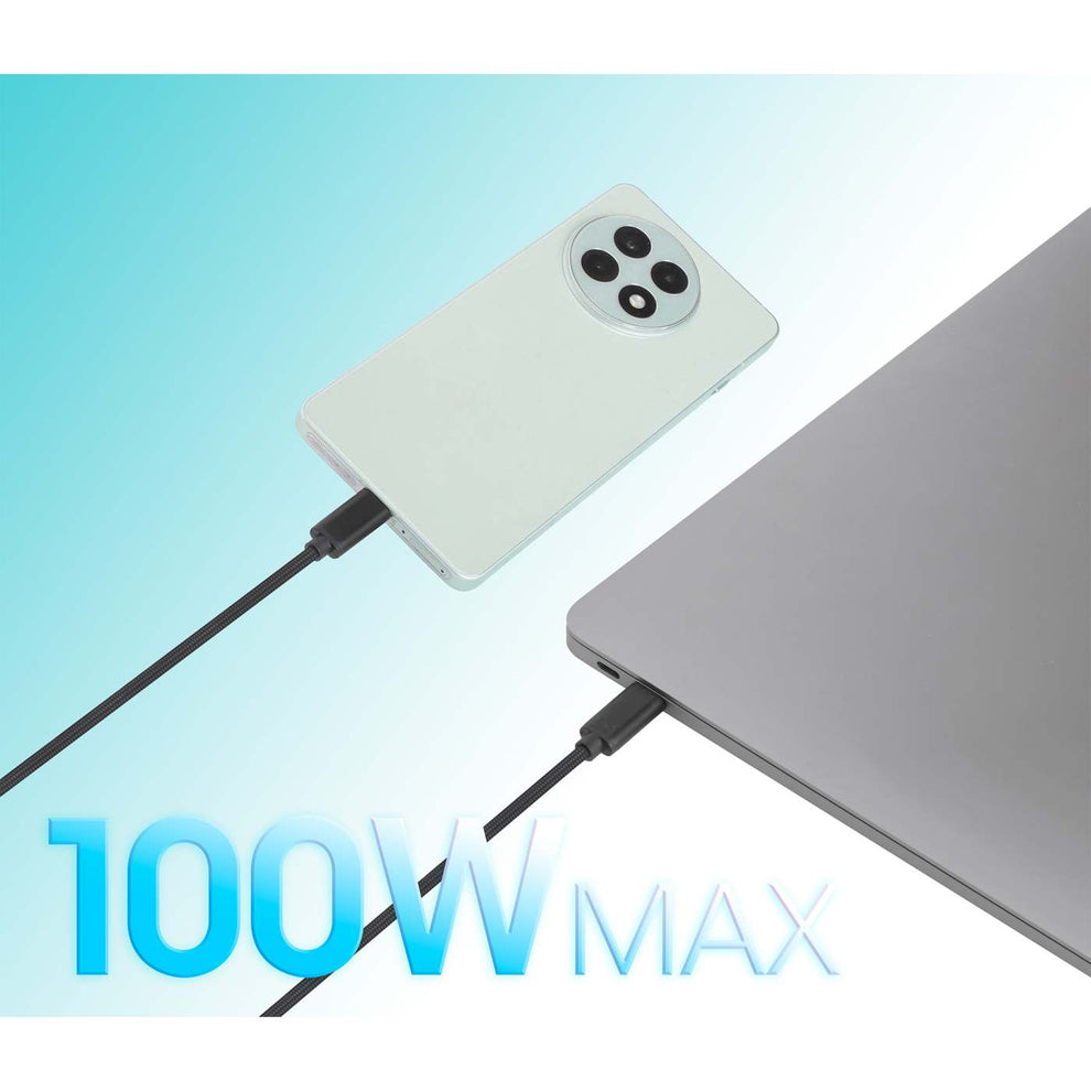 INTELLINET/MANHATTAN Dual USB-C Charging Cable 100 W, 2m