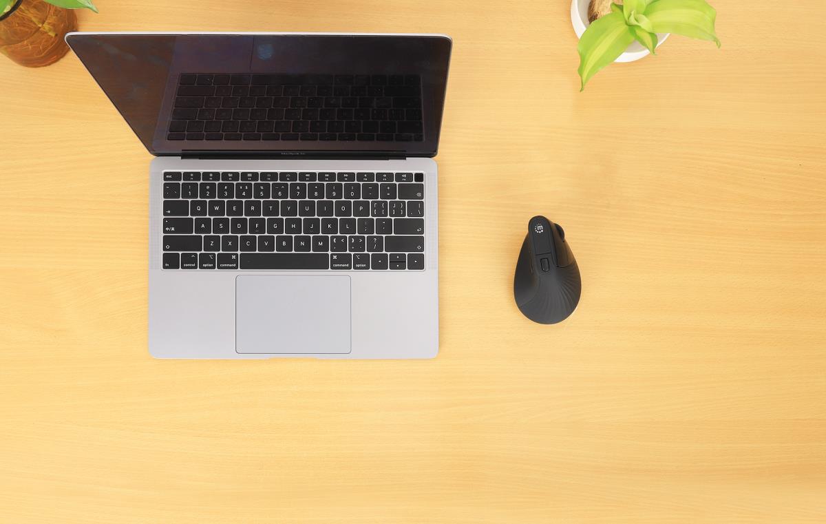 INTELLINET/MANHATTAN Vertical Ergonomic Wireless Mouse - Optical - USB - Black