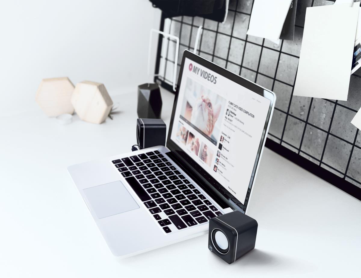 INTELLINET/MANHATTAN Stereo Computer Speakers - 2600 Series - USB - Black/Silver