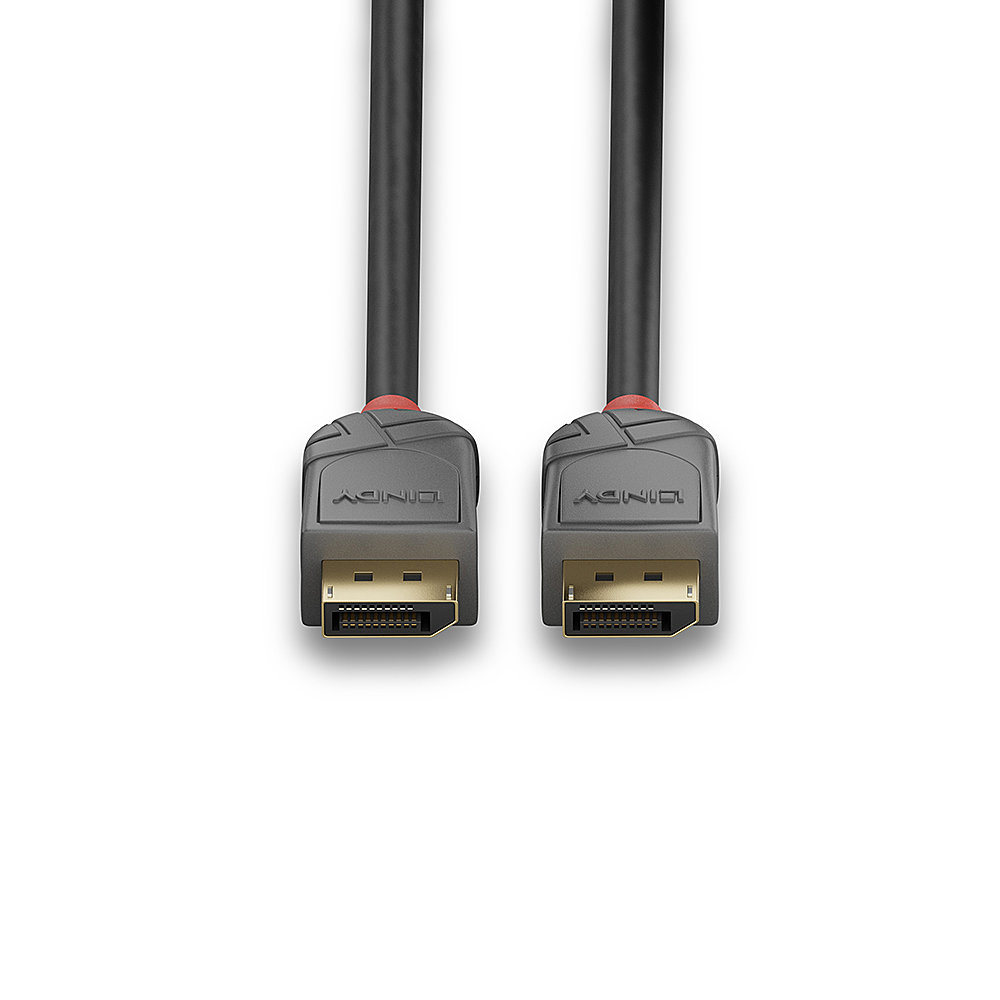 LINDY Cable - DisplayPort 1.4 Male To Male - Anthraline - Black - 50cm