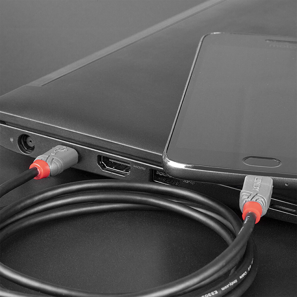 LINDY Cable - USB2.0 Type C Male To Micro Type B Male - Anthraline - 50cm - Black
