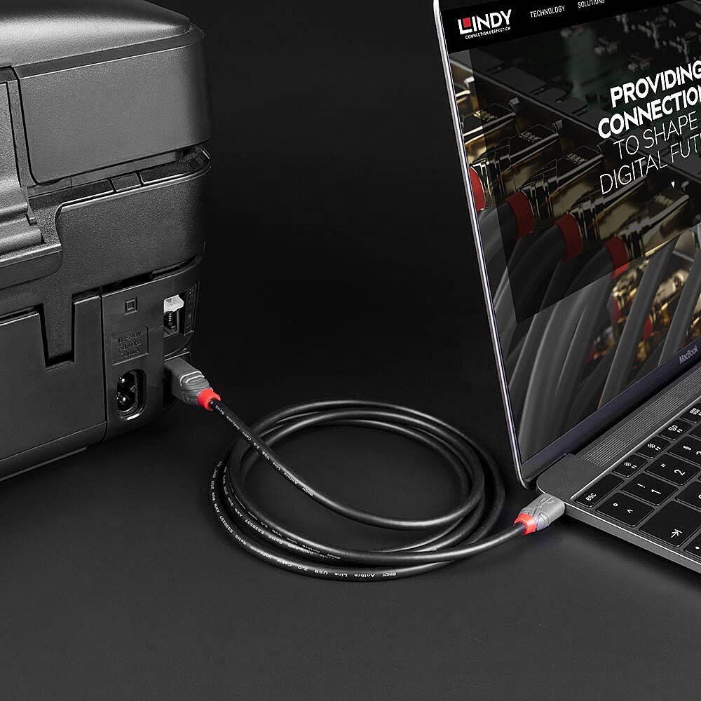 LINDY Cable - USB 2.0 - USB-c Male - USB-b Male - Anthraline  - 2m