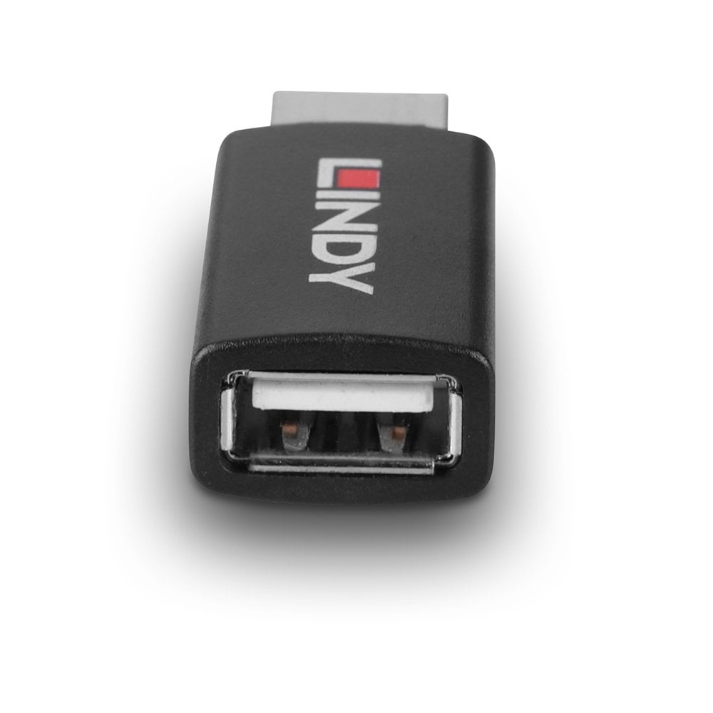 LINDY USB 2.0 Type A To A Data Blocker