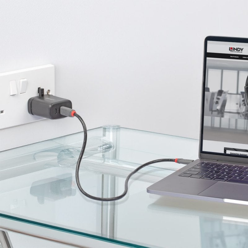 LINDY Charger 65w USB 2 X Type C