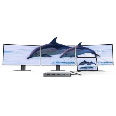 ALOGIC Universal 12-in-1 Mini Dock DV2