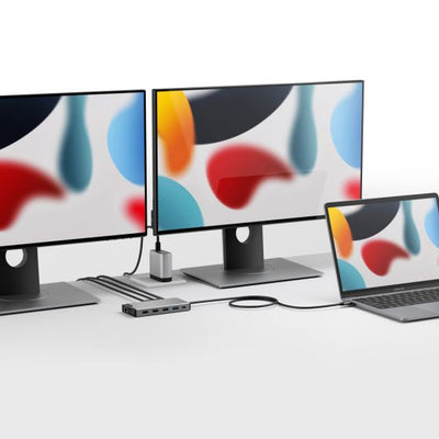 ALOGIC Universal 12-in-1 Mini Dock DV2