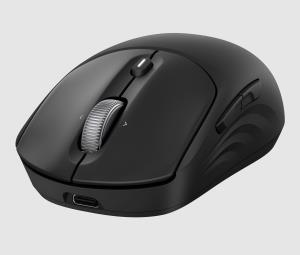 HP Wireless Rechargeable Mouse - 705