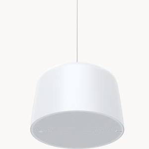 AXIS C1510 Network Pendant Speaker
