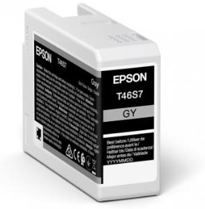 EPSON Ink Cartridge - Ultrachrome Pro 10 - 25ml - Grey