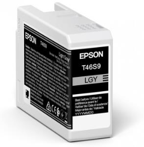EPSON Ink Cartridge - Ultrachrome Pro 10 - 25ml - Light Gray