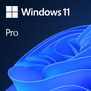 MICROSOFT Windows 11 Pro 64bit Oem - 1 Users - Win - English